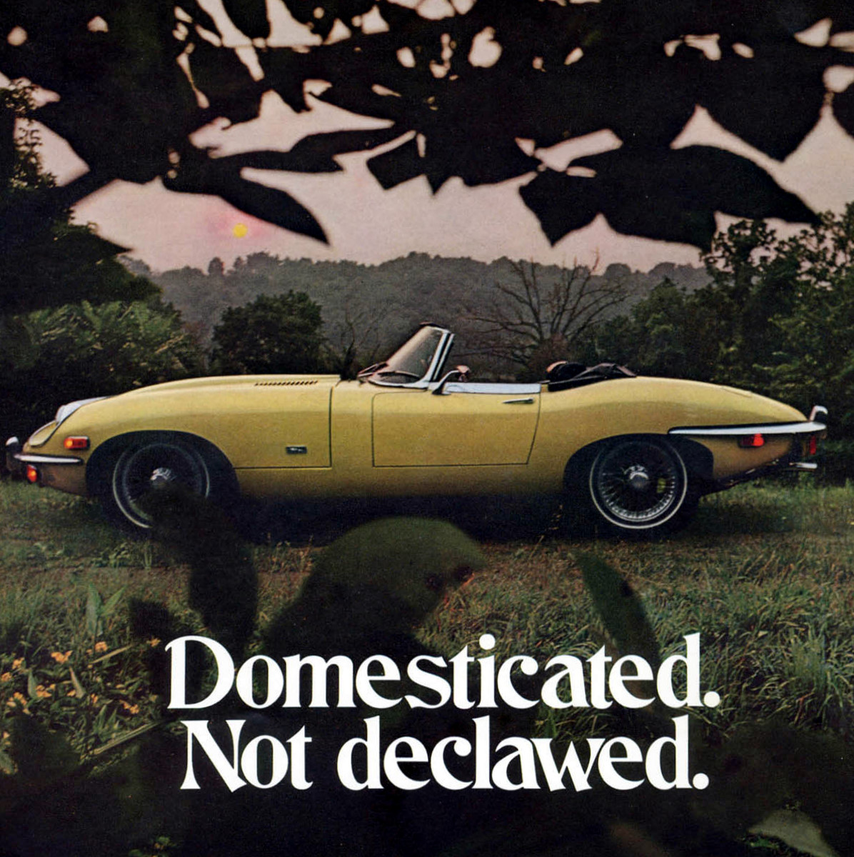 1970-jaguar-e-type-series-ii.jpg